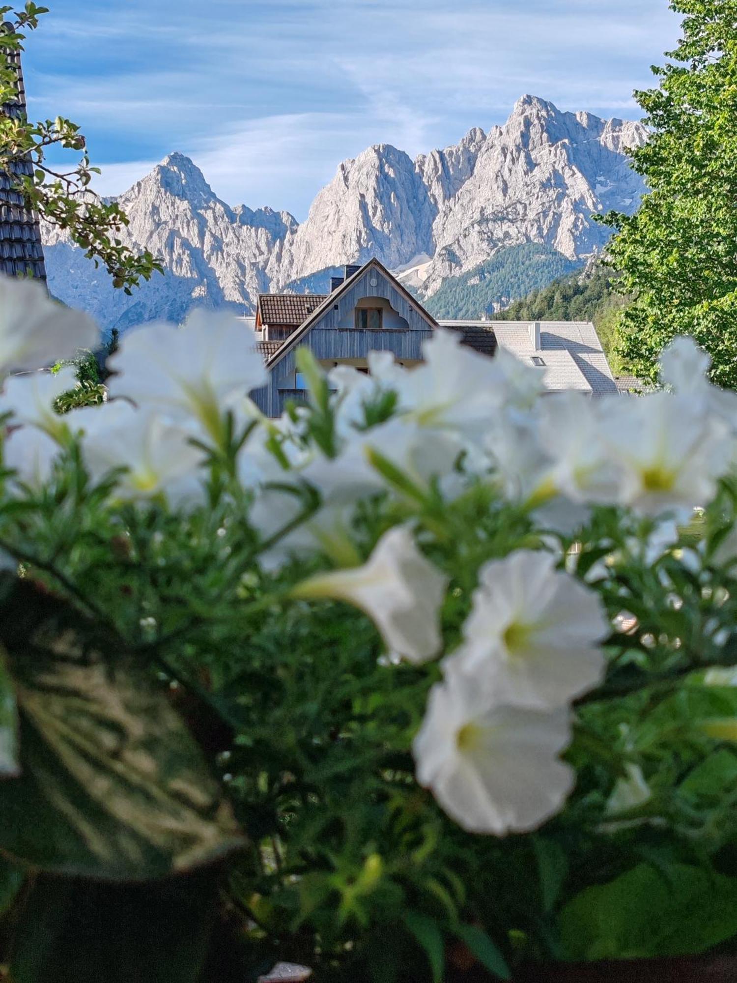 Apartments & Rooms Smucka Kranjska Gora Exterior foto